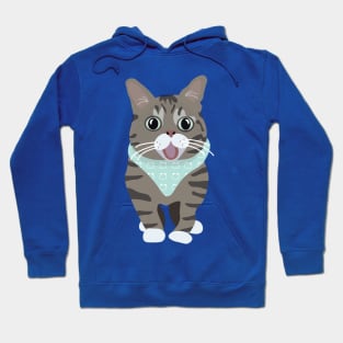 Lil Bub the Internet Cat Hoodie